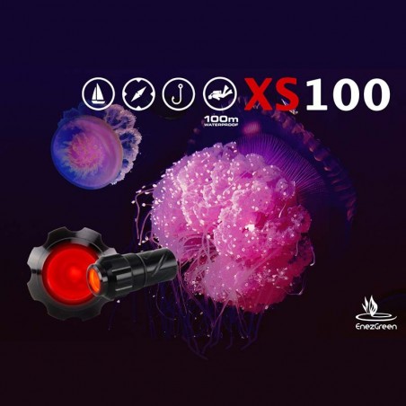 Mini waterproof RED LED flashlight - Exposure Marine XS100-R Mini waterproof RED LED flashlight - Exposure Marine XS100-R