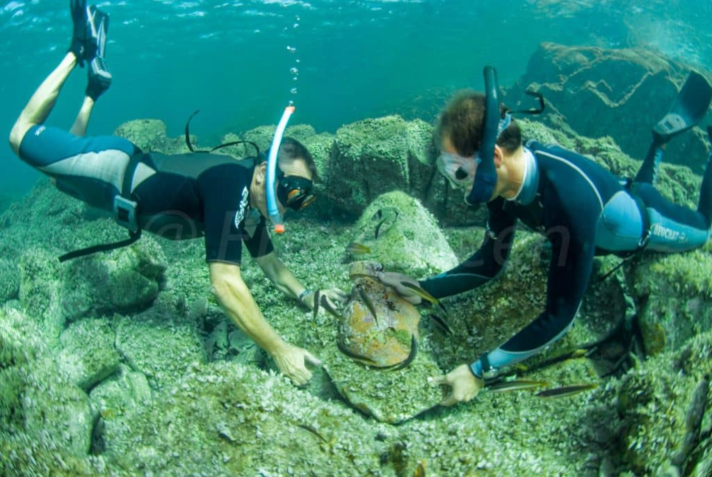 Snorkeling Lavezzi Corse