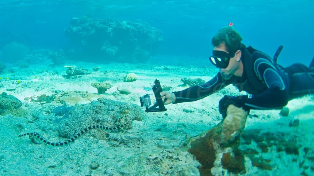 Snorkeling Nouvelle Calédonie