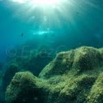 A l'eau Rando première structure de snorkeling en Corse