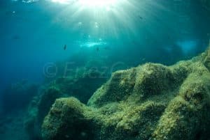 A l'eau Rando première structure de snorkeling en Corse