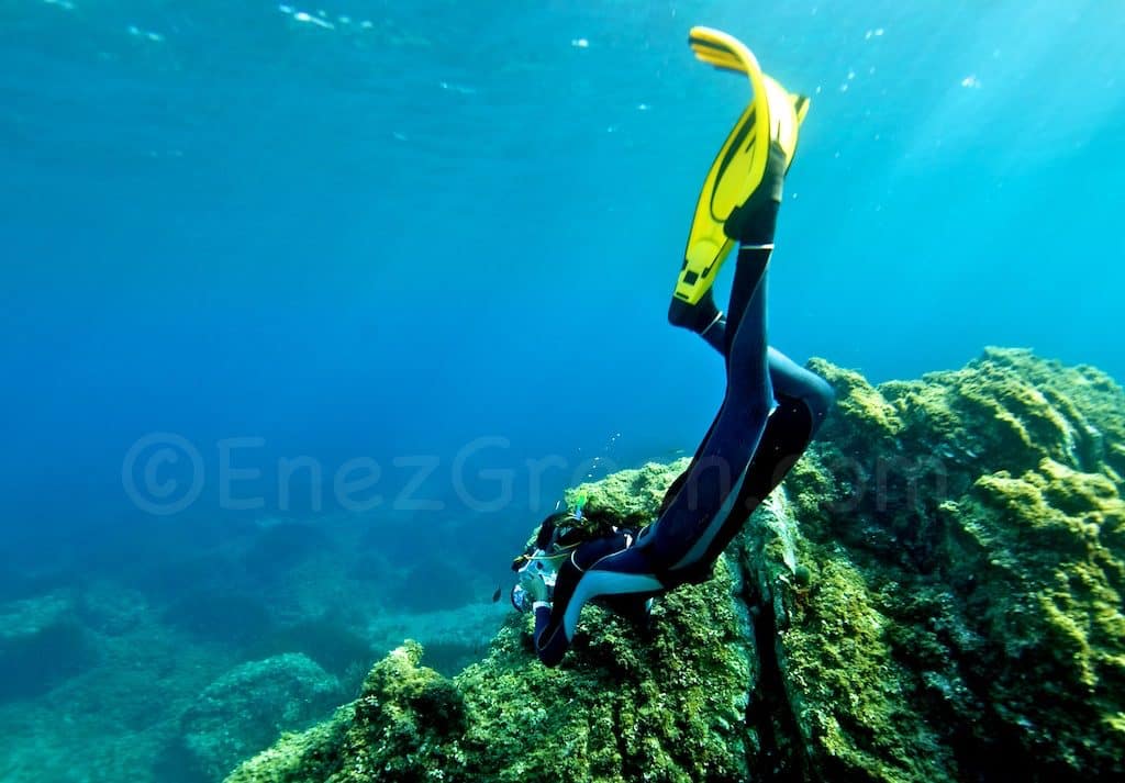 Les Embiez snorkeling balade aquatique