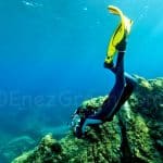 Les Embiez snorkeling balade aquatique