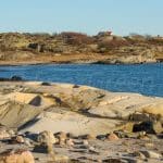 Kosterhavet snorkelling