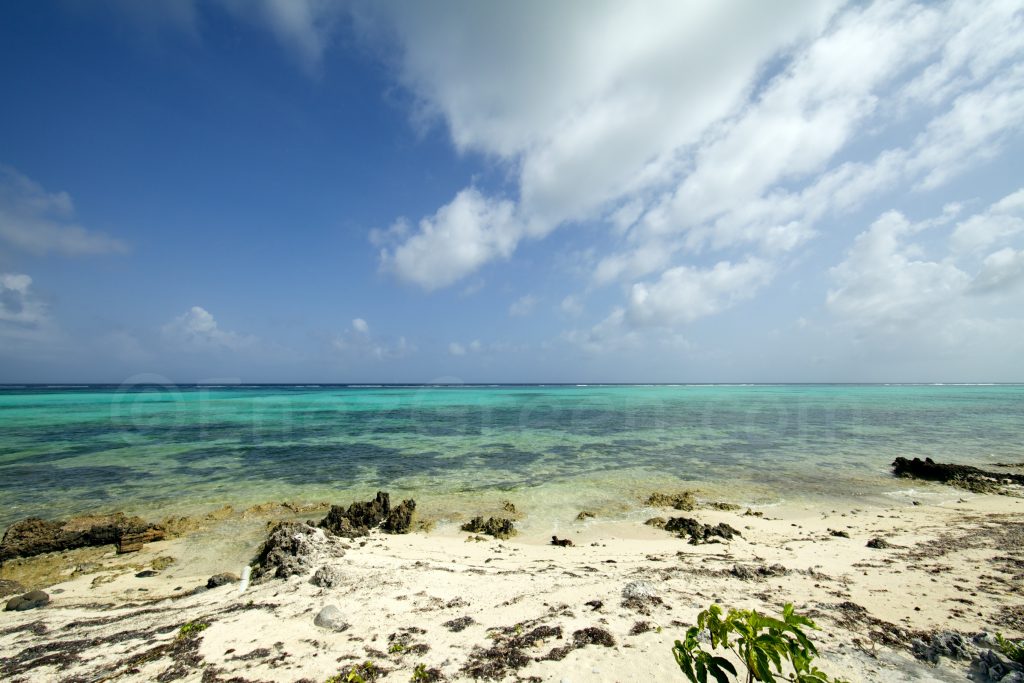 Paysages Grand Cayman