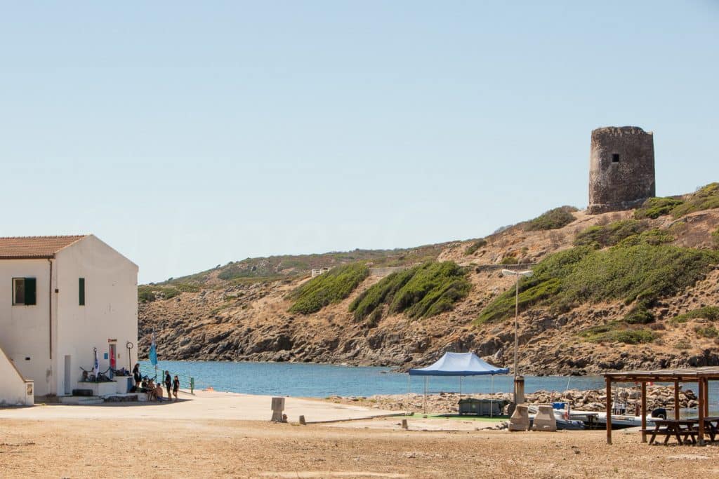 Asinara Sardaigne