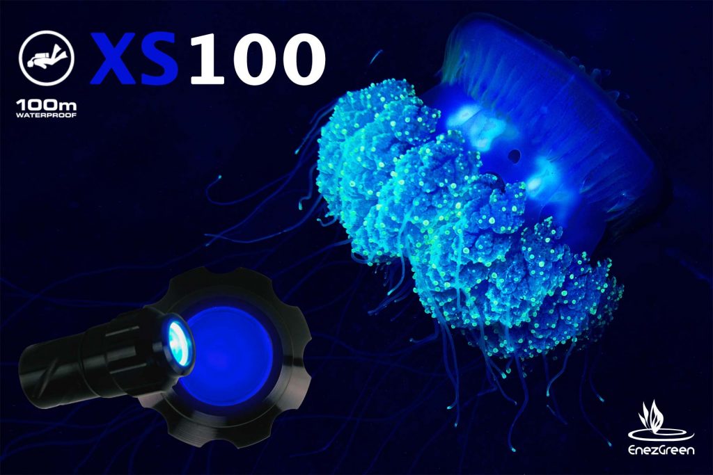 La mini lampe poche XS100 étanche à 100m