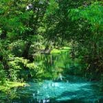 Blue Hole River Vanuatu