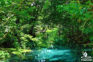 Blue Hole River Vanuatu
