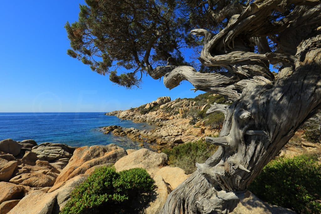 Corse île durable Hervé Bré EnezGreen