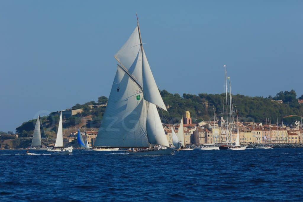 Voiles de St Tropez 2016 - Bateaux Classics - Hervé Bré EnezGreen