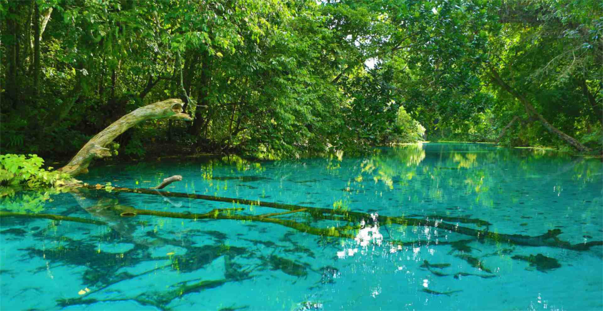 Exploration nature Vanuatu copyright Hervé Bré